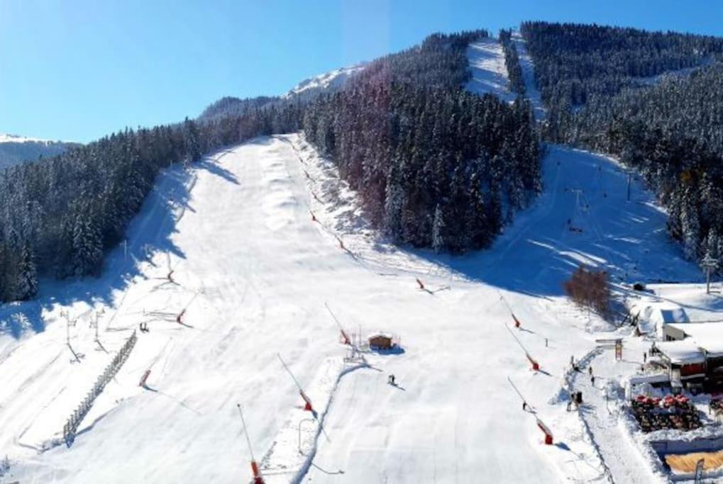 Grand Studio A La Montagne Ax-les-Thermes Dış mekan fotoğraf