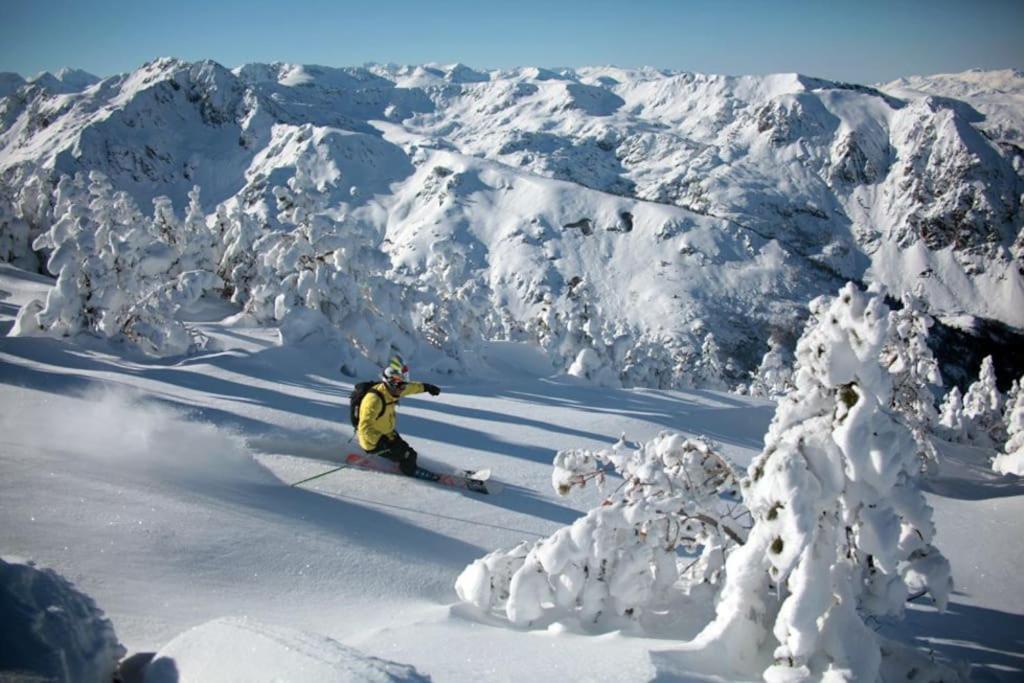 Grand Studio A La Montagne Ax-les-Thermes Dış mekan fotoğraf